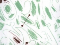 special_student_artwork_5 copy.jpg