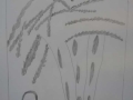 special_student_artwork_5.jpg
