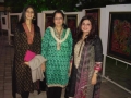 Ufaq_ehsan_Solo_Exhibition_2013_2.jpg